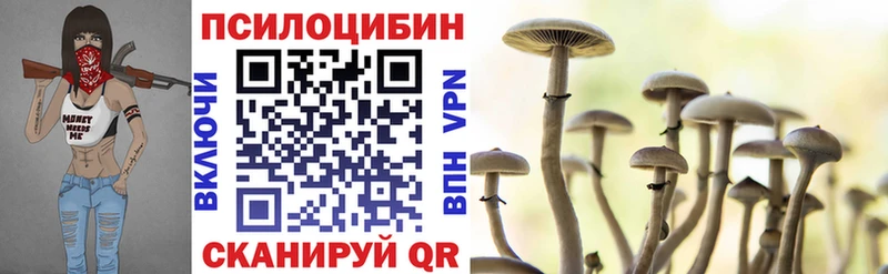 Купить  Тетюши  Галлюциногенные грибы Magic Shrooms 