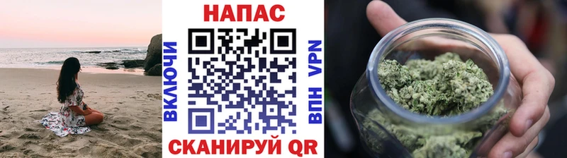 Бошки Шишки ГИДРОПОН Тетюши